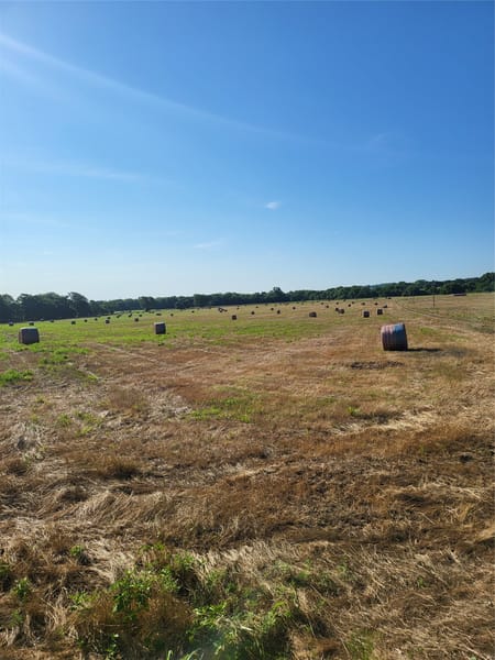 St Jo, TX 76265 Montague County