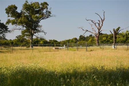 Grand Saline, TX 75140 Van Zandt County