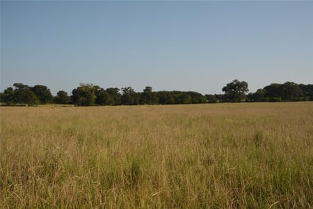 Grand Saline, TX 75140 Van Zandt County