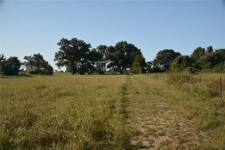 Grand Saline, TX 75140 Van Zandt County