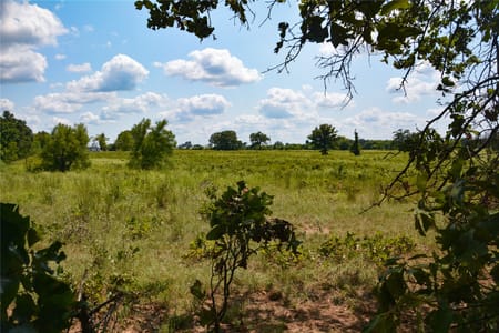 Grand Saline, TX 75140 Van Zandt County