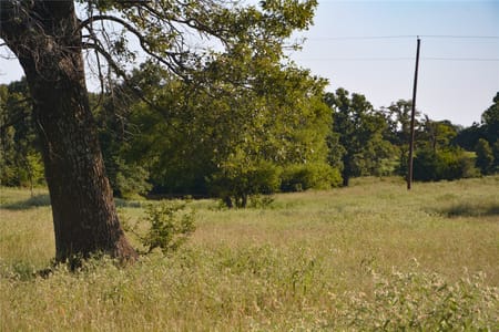 Grand Saline, TX 75140 Van Zandt County