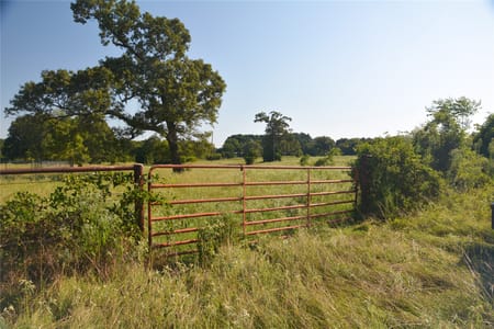 Grand Saline, TX 75140 Van Zandt County