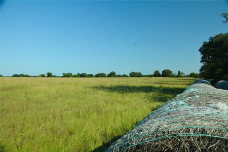 Grand Saline, TX 75140 Van Zandt County