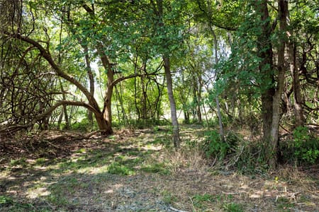 Hallettsville, TX 77964 Lavaca County