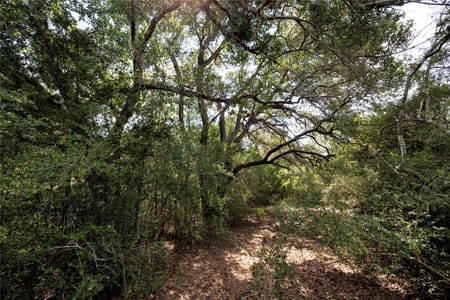 Hallettsville, TX 77964 Lavaca County
