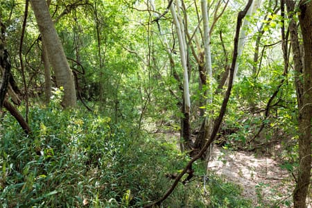Hallettsville, TX 77964 Lavaca County
