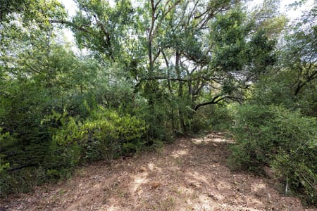Hallettsville, TX 77964 Lavaca County