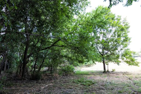Hallettsville, TX 77964 Lavaca County