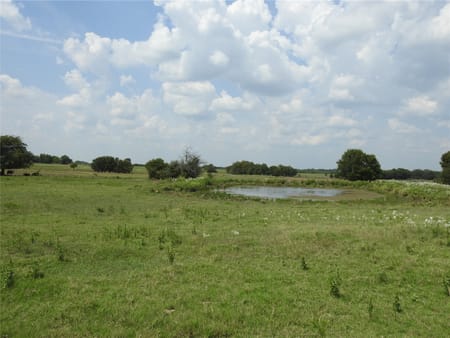 Ector, TX 75439 Fannin County