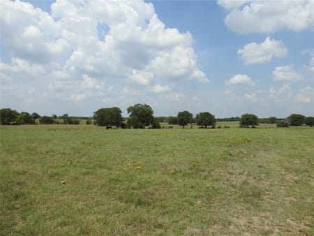 Ector, TX 75439 Fannin County