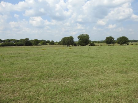Ector, TX 75439 Fannin County