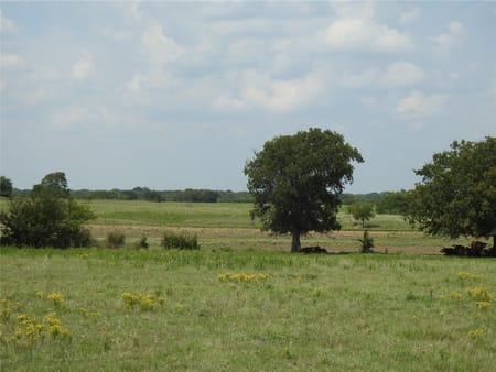 Ector, TX 75439 Fannin County