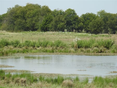 Ector, TX 75439 Fannin County