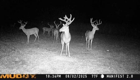 Whitesboro, TX 76273 Grayson County