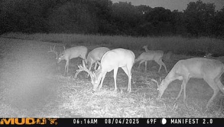 Whitesboro, TX 76273 Grayson County