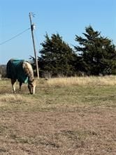 Gunter, TX 75058 Grayson County