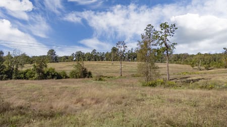 Nacogdoches, TX 75964 Nacogdoches County