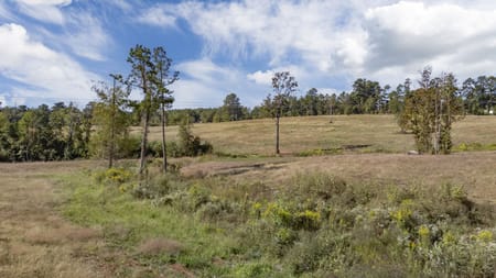 Nacogdoches, TX 75964 Nacogdoches County