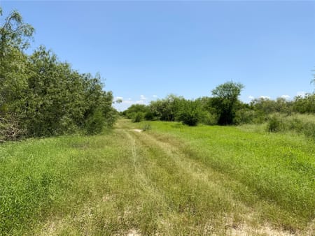 Sinton, TX 78387 San Patricio County