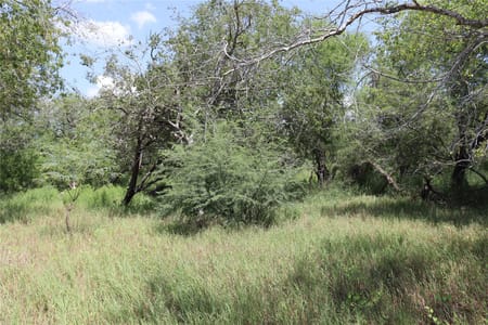 Sinton, TX 78387 San Patricio County