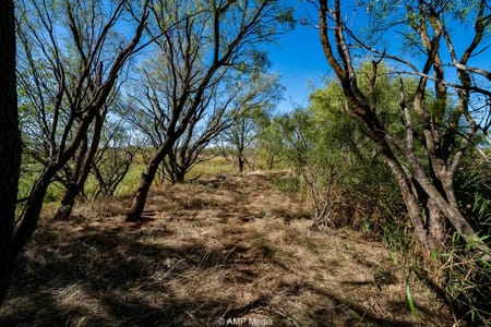 Rule, TX 79547 Haskell County