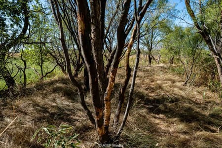 Rule, TX 79547 Haskell County