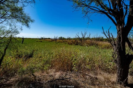 Rule, TX 79547 Haskell County