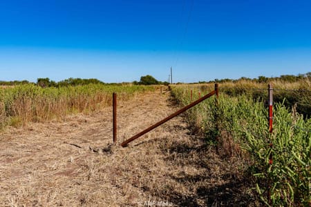 Rule, TX 79547 Haskell County