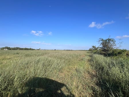 Richmond, TX 77469 Fort Bend County
