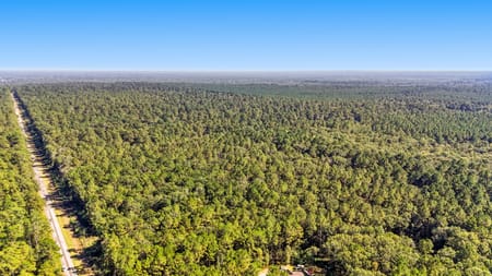 Dayton, TX 77535 Liberty County