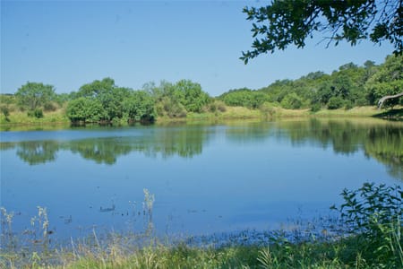Fredericksburg, TX 78624 Gillespie County