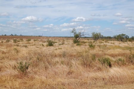 Sabinal, TX 78881 Uvalde County