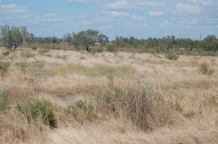 Sabinal, TX 78881 Uvalde County