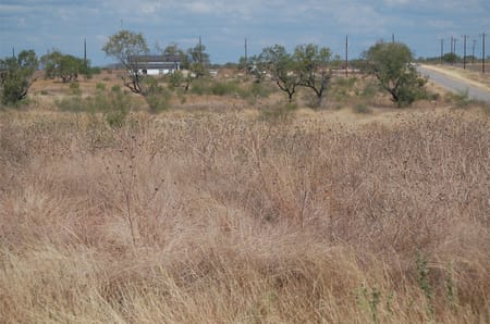 Sabinal, TX 78881 Uvalde County