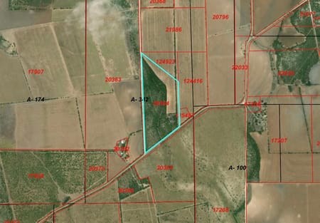 Sabinal, TX 78881 Uvalde County