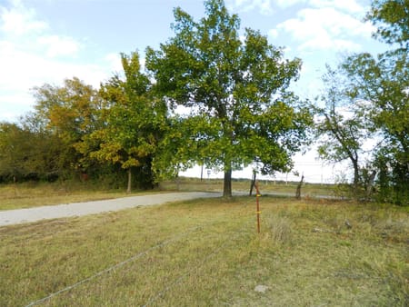Bonham, TX 75418 Fannin County