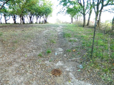 Bonham, TX 75418 Fannin County