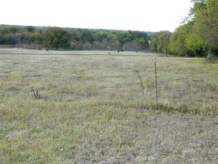 Bonham, TX 75418 Fannin County