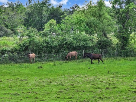 Friendswood, TX 77546 Galveston County