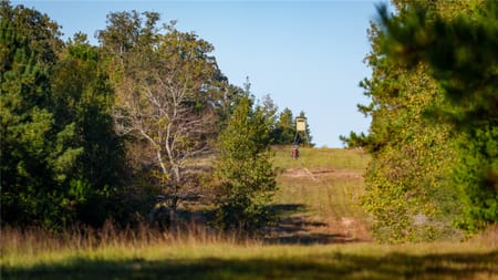 Oakwood, TX 75855 Leon County