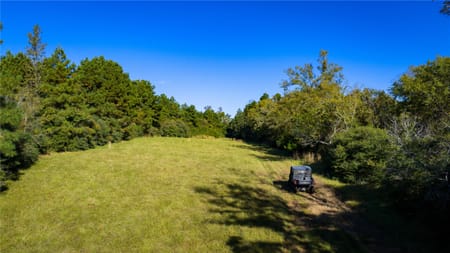 Oakwood, TX 75855 Leon County