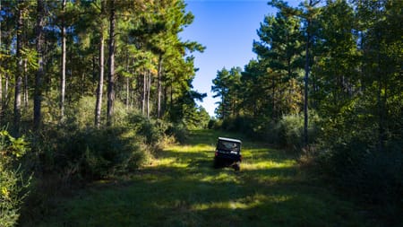 Oakwood, TX 75855 Leon County