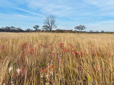 Mounds, OK 74047 Okmulgee County