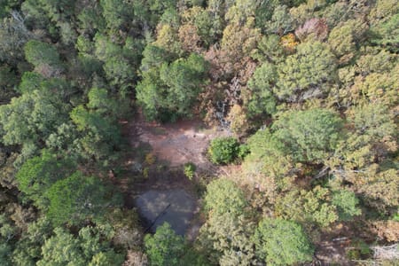 Waskom, TX 75692 Harrison County