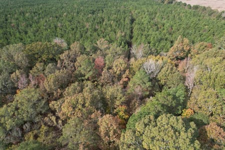 Waskom, TX 75692 Harrison County