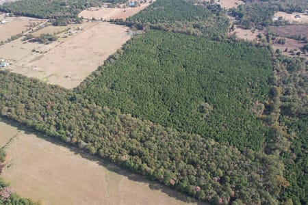Waskom, TX 75692 Harrison County