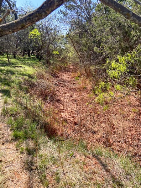 Tuscola, TX 79562 Taylor County