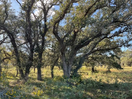 Cuero, TX 77954 DeWitt County