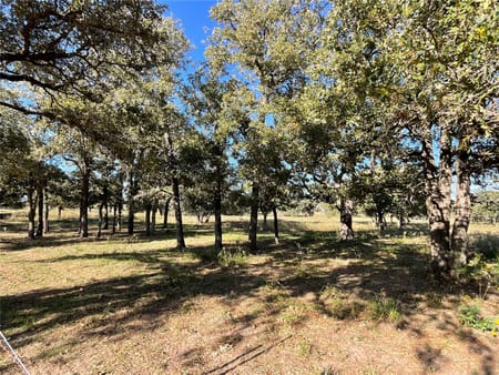 Cuero, TX 77954 DeWitt County